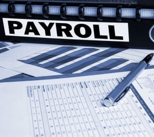 Payroll Preparation Services